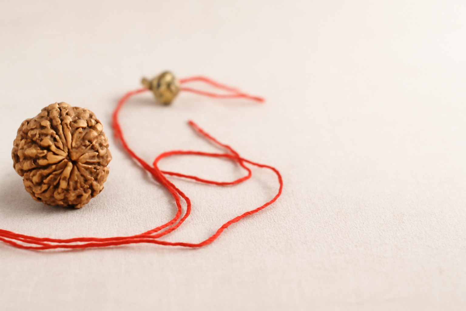 Rudraksha 1-14 Mukhi (indo)