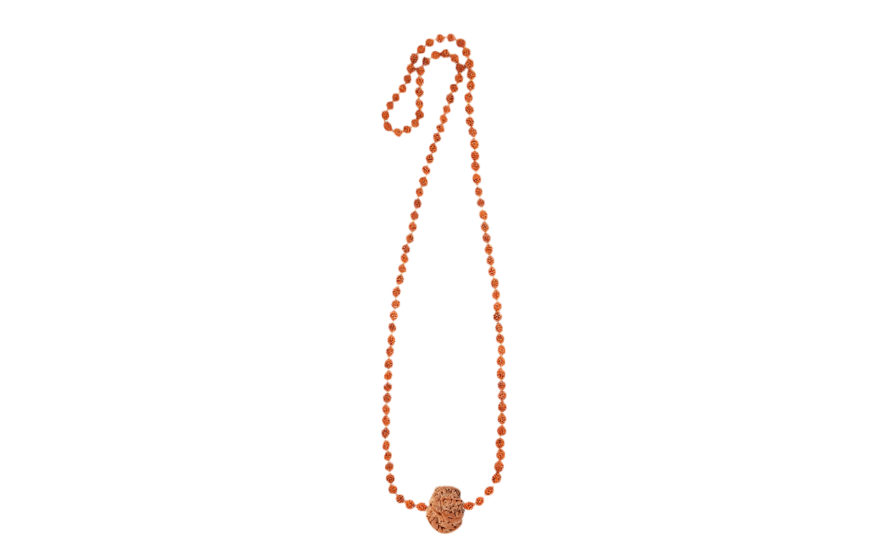 Siddh Rudraksha Mala with a 7 Mukhi Rudraksha and 54 authentic 5 Mukhi Rudraksha
