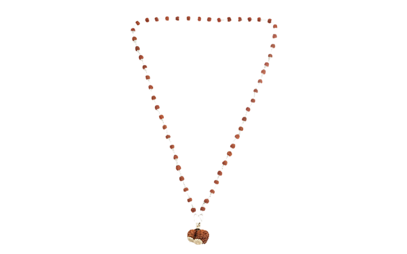 Siddha Rudraksha Mala with Gauri-Shankar Rudraksha Pendant and 108 authentic Sliver 5 Mukhi Rudraksha