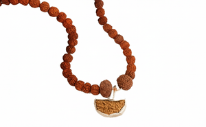 Dhanlaxmi Vriddhi Mala - 1 Mukhi and 9 Mukhi Rudraksha