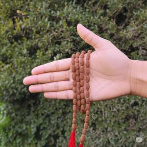 2 Mukhi Japa Rudraksha Mala