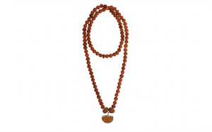 Dhanlaxmi Vriddhi Mala - 1 Mukhi and 9 Mukhi Rudraksha