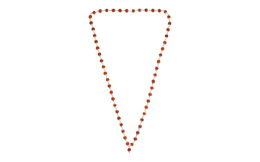 Siddh 5 Mukhi Rudraksha Mala