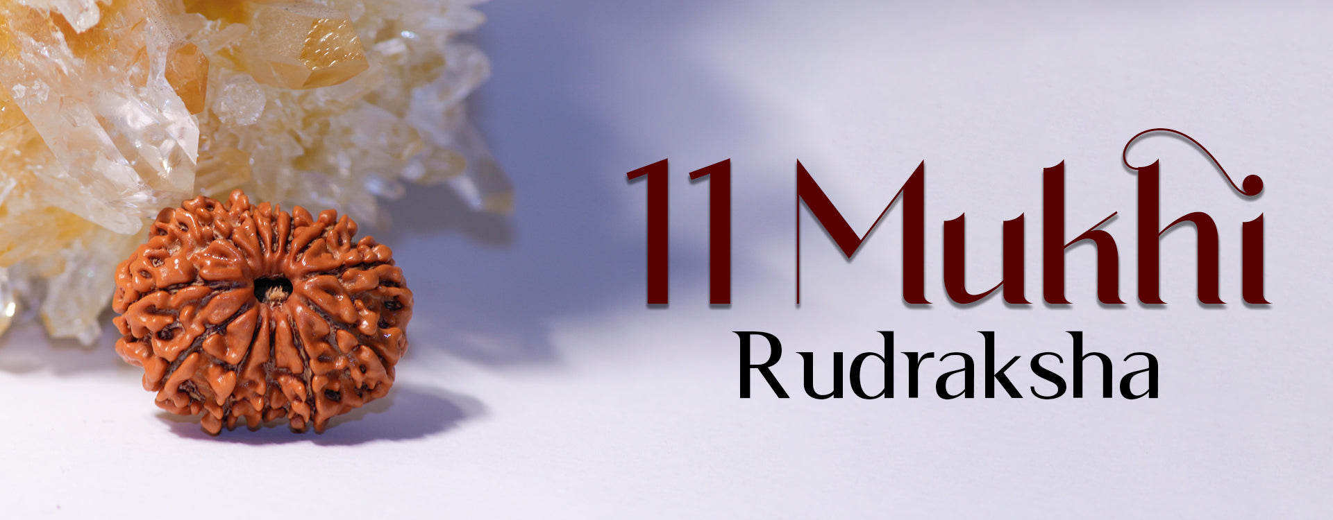 Natural 11 Mukhi Rudraksha (Indo)