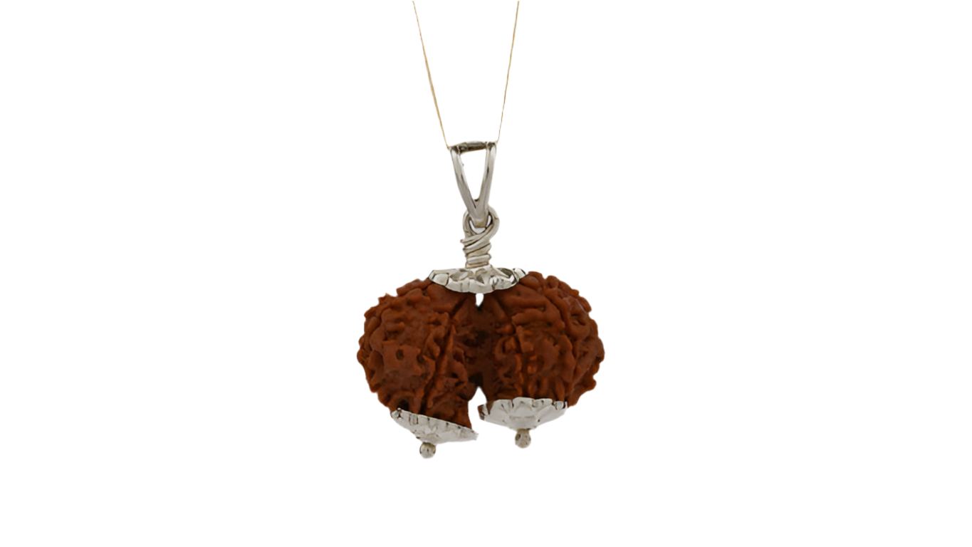 Gauri Shankar Rudraksha