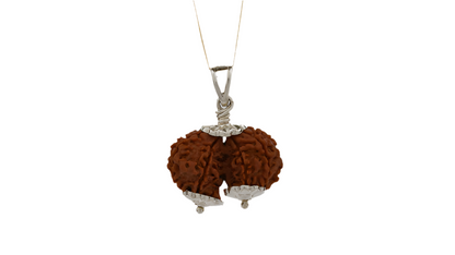 Gauri Shankar Rudraksha