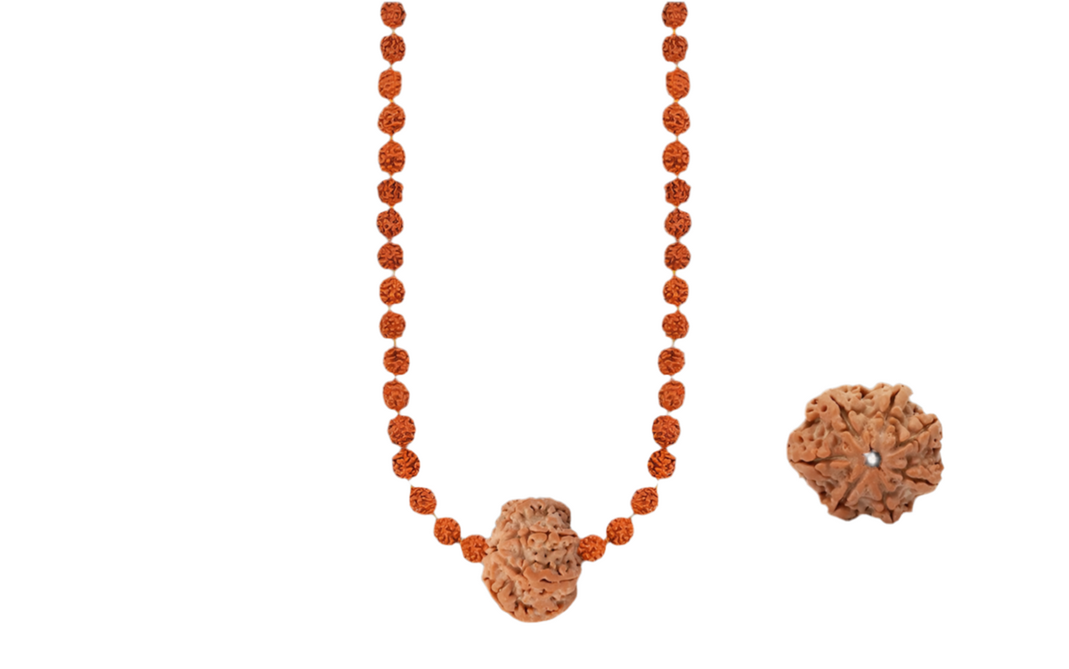 Siddh Rudraksha Mala with a 7 Mukhi Rudraksha and 54 authentic 5 Mukhi Rudraksha