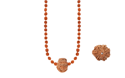 Siddh Rudraksha Mala with a 7 Mukhi Rudraksha and 54 authentic 5 Mukhi Rudraksha