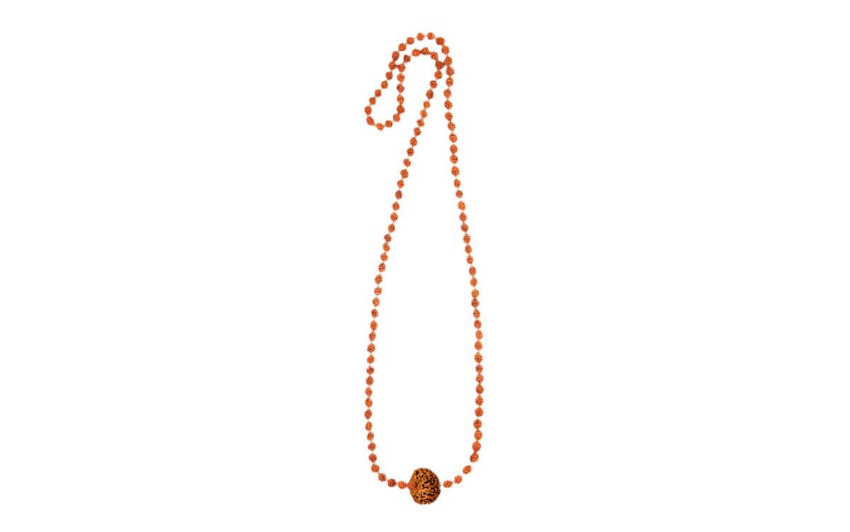 Siddha Rudraksha Mala with a 8 Mukhi Rudraksha and 54 authentic 5 Mukhi Rudraksha