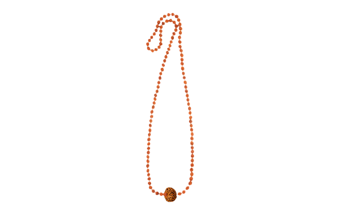 Siddha Rudraksha Mala with a 8 Mukhi Rudraksha and 54 authentic 5 Mukhi Rudraksha