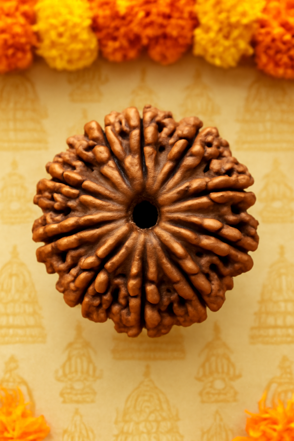 Natural 10 Mukhi Rudraksha (Indo)