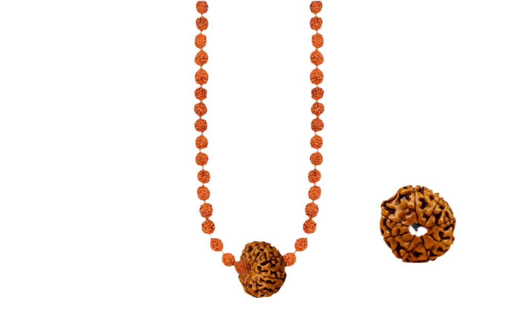 Siddha Rudraksha Mala with a 8 Mukhi Rudraksha and 54 authentic 5 Mukhi Rudraksha