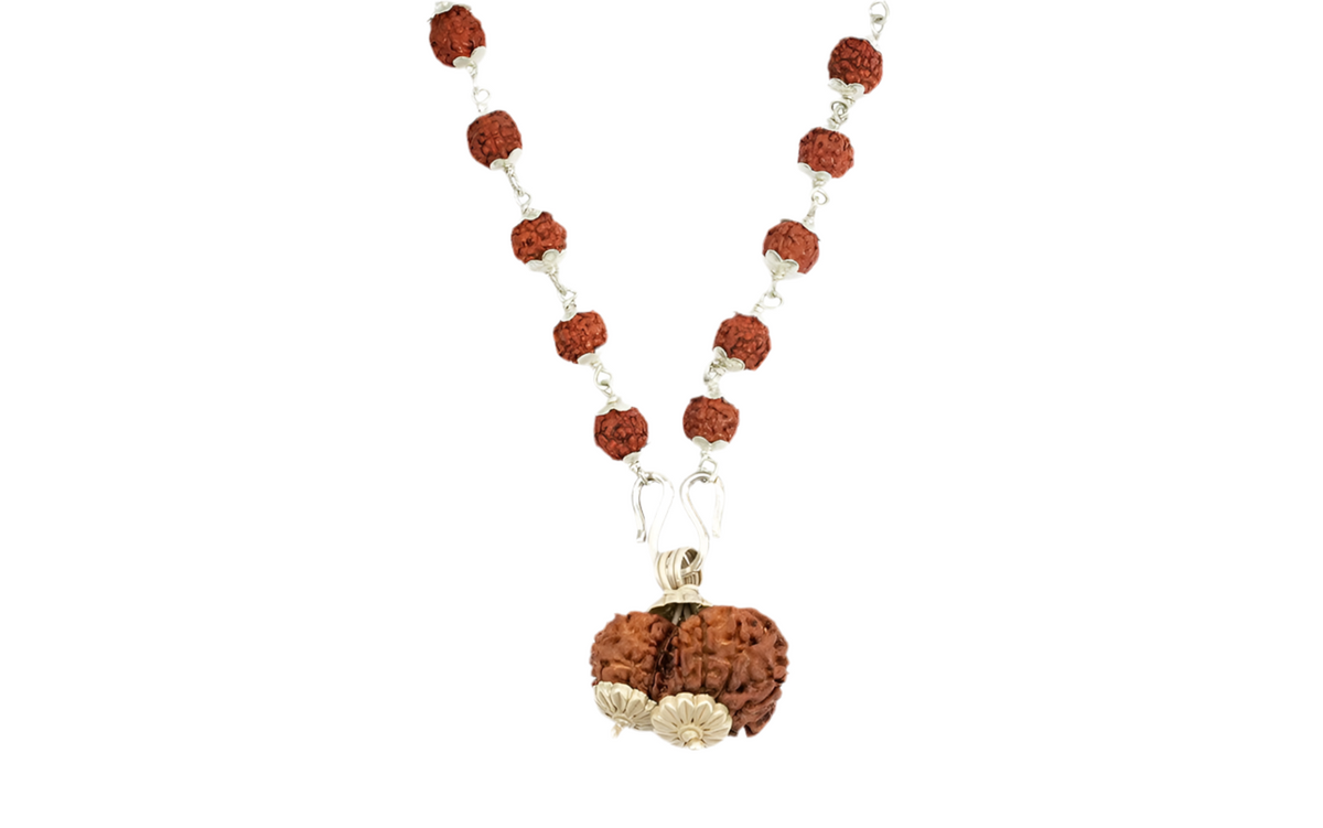 Siddha Rudraksha Mala with Gauri-Shankar Rudraksha Pendant and 108 authentic Sliver 5 Mukhi Rudraksha