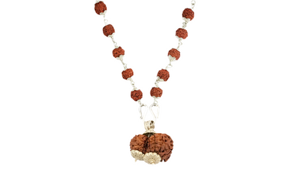 Siddha Rudraksha Mala with Gauri-Shankar Rudraksha Pendant and 108 authentic Sliver 5 Mukhi Rudraksha