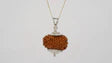 Natural 12 Mukhi Rudraksha (Nepali)