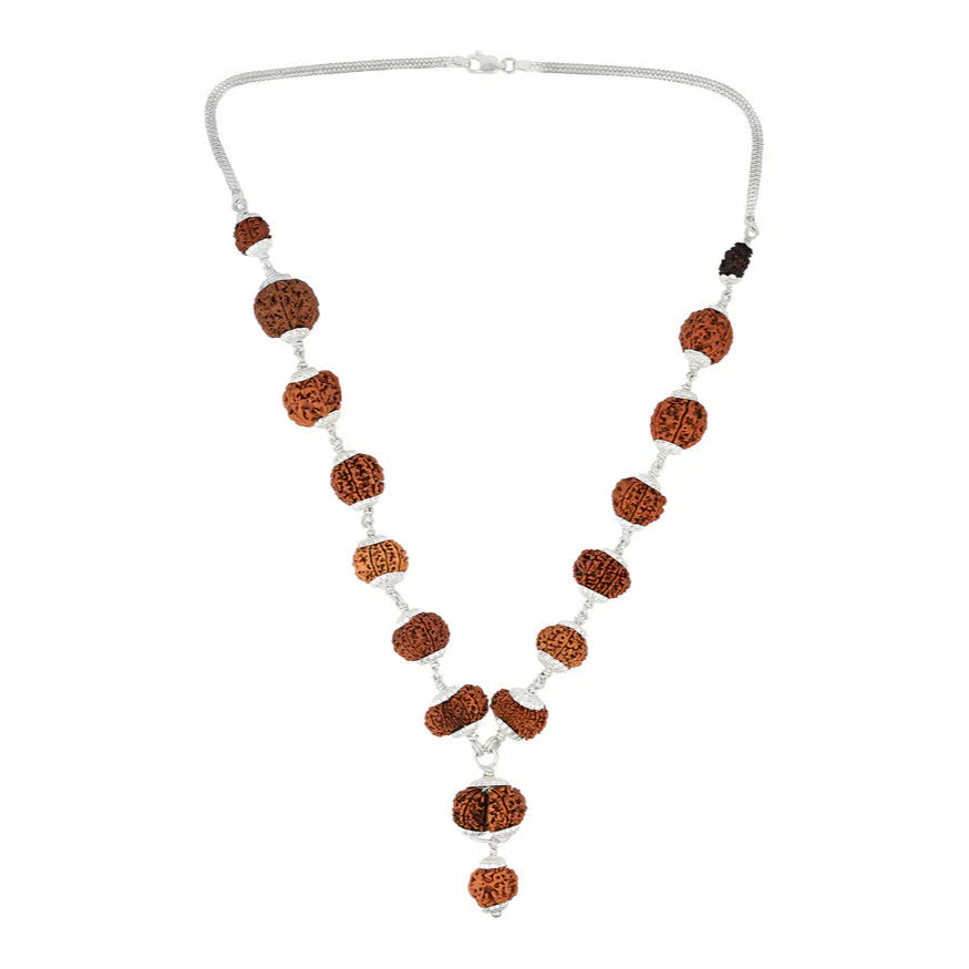 1-14 Mukhi Rudraksha Mala (Siddha Mala) (Nepali)