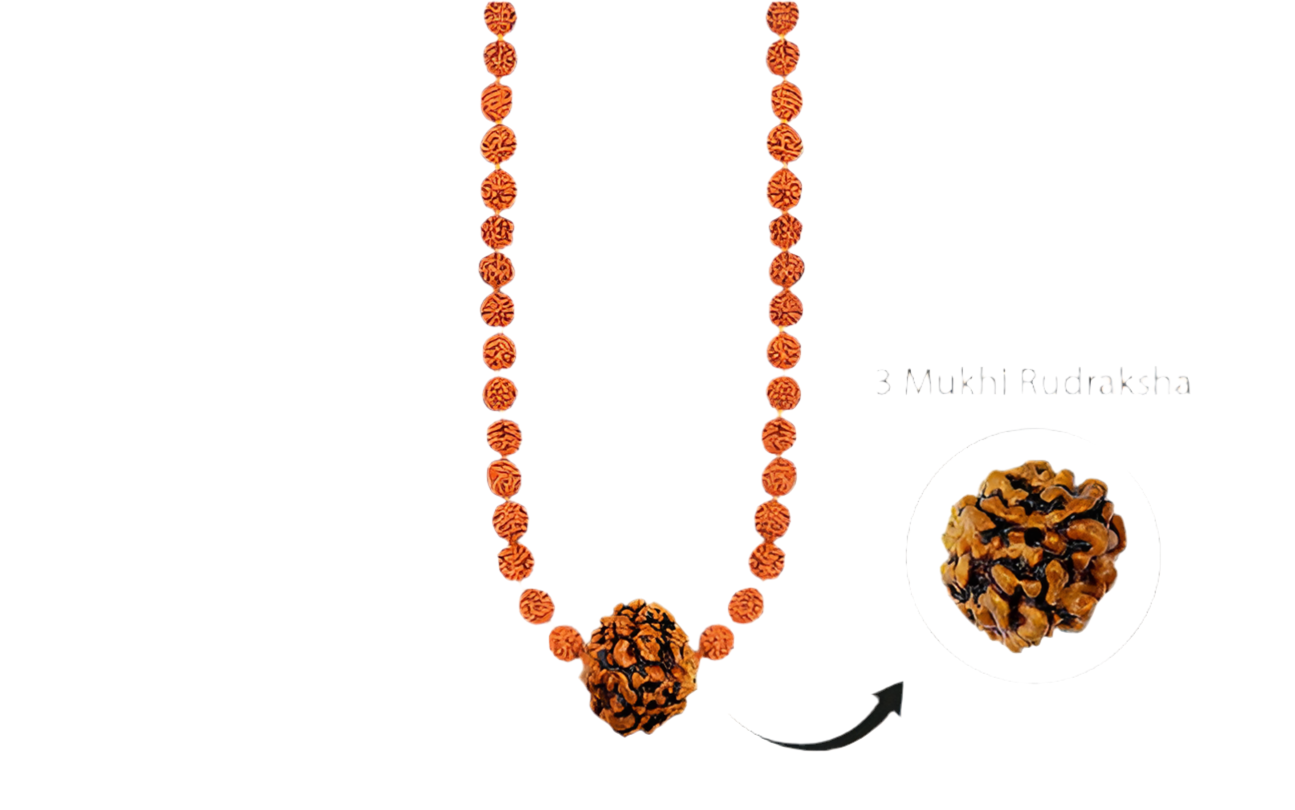 Siddha Rudraksha Mala with a 3 Mukhi Rudraksha and 54 authentic 5 Mukhi Rudraksha