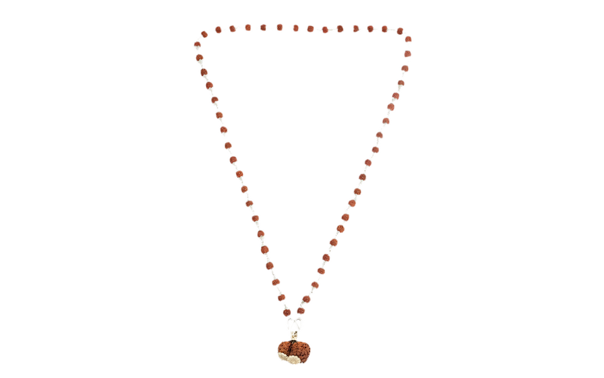 Siddha Rudraksha Mala with Gauri-Shankar Rudraksha Pendant and 108 authentic Sliver 5 Mukhi Rudraksha