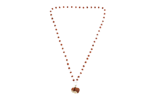 Siddha Rudraksha Mala with Gauri-Shankar Rudraksha Pendant and 108 authentic Sliver 5 Mukhi Rudraksha