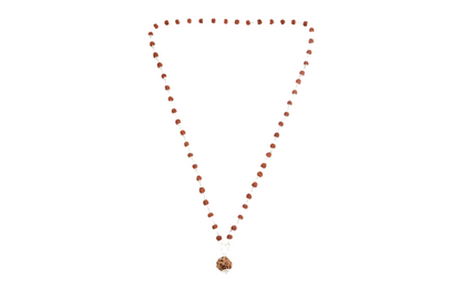 Siddh 5 Mukhi Silver Rudraksha Mala with 5 Mukhi Silver Pendant