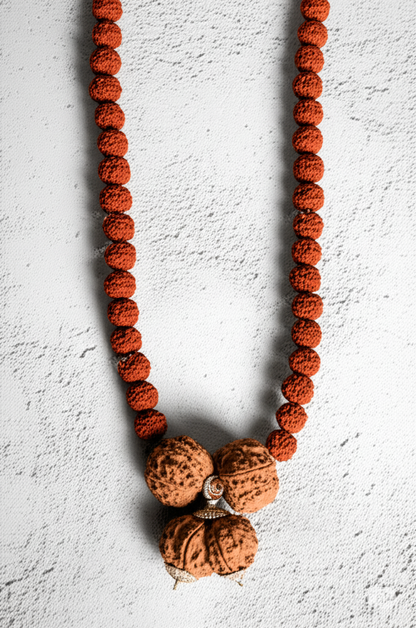 Prem Vriddhi Mala - 6 Mukhi, 7 Mukhi and Gauri Shankar Rudraksha (AB)