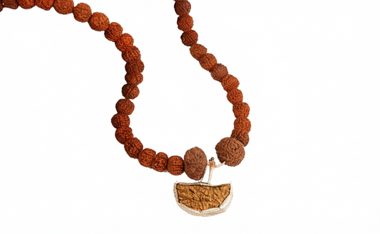 Dhanlaxmi Vriddhi Mala - 1 Mukhi and 9 Mukhi Rudraksha