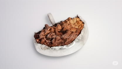 Natural 1 Mukhi Rudraksha - Indian