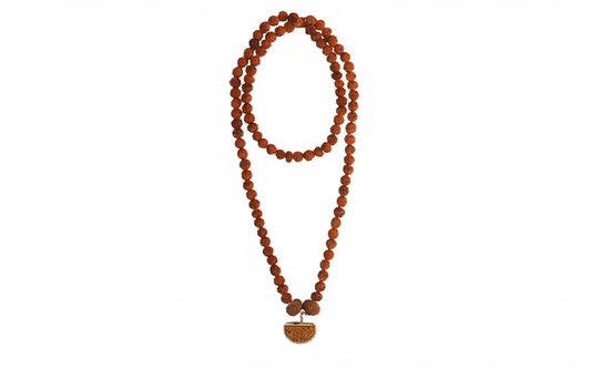 Dhanlaxmi Vriddhi Mala - 1 Mukhi and 9 Mukhi Rudraksha