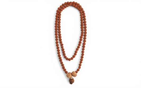 Swasth Vriddhi Mala - 7 Mukhi and 2 Mukhi Rudraksha